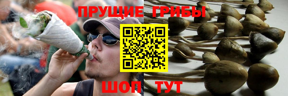 Галлюциногенные грибы Cubensis  Вход с VPN  Ахтубинск  Псилоцибиновые грибы ЛСД 