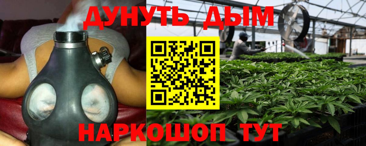 Бошки марихуана Ganja Ахтубинск